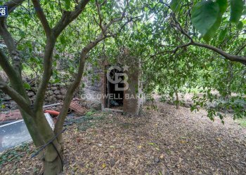 Foto 5 - Terreno agricolo Via Campanaro
 
snc, Acireale - foto 5