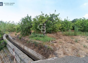 Foto 7 - Terreno agricolo Via Campanaro
 
snc, Acireale - foto 7