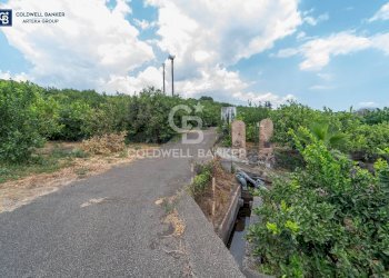 Foto 8 - Terreno agricolo Via Campanaro
 
snc, Acireale - foto 8