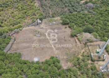 Foto 9 - Terreno agricolo Via Campanaro
 
snc, Acireale - foto 9