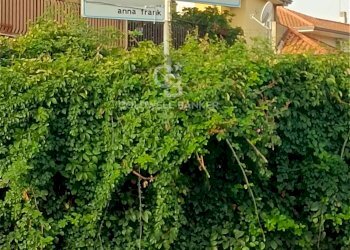 Foto 11 - Terreno edificabile via Padre Mariano Patanè
20, Acireale - foto 11