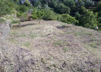 Foto 13 - Magazzino via dei Paoli, Giarre - foto 13