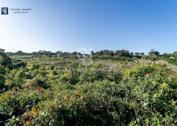 Foto 3 - Terreno agricolo VIA CHIUSE
 
SNC, Acireale - foto 3