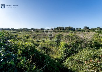 Foto 6 - Terreno agricolo VIA CHIUSE
 
SNC, Acireale - foto 6