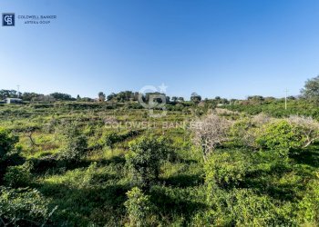 Foto 7 - Terreno agricolo VIA CHIUSE
 
SNC, Acireale - foto 7