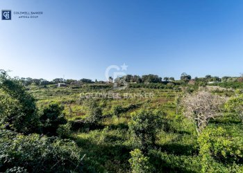 Foto 8 - Terreno agricolo VIA CHIUSE
 
SNC, Acireale - foto 8