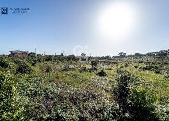 Foto 9 - Terreno agricolo VIA CHIUSE
 
SNC, Acireale - foto 9