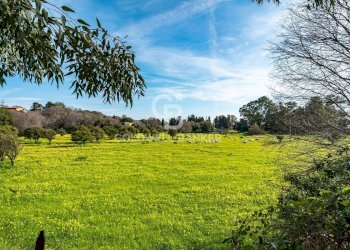 Foto 2 - Bilocale via pietre nere
 
55, Giardini-Naxos - foto 2