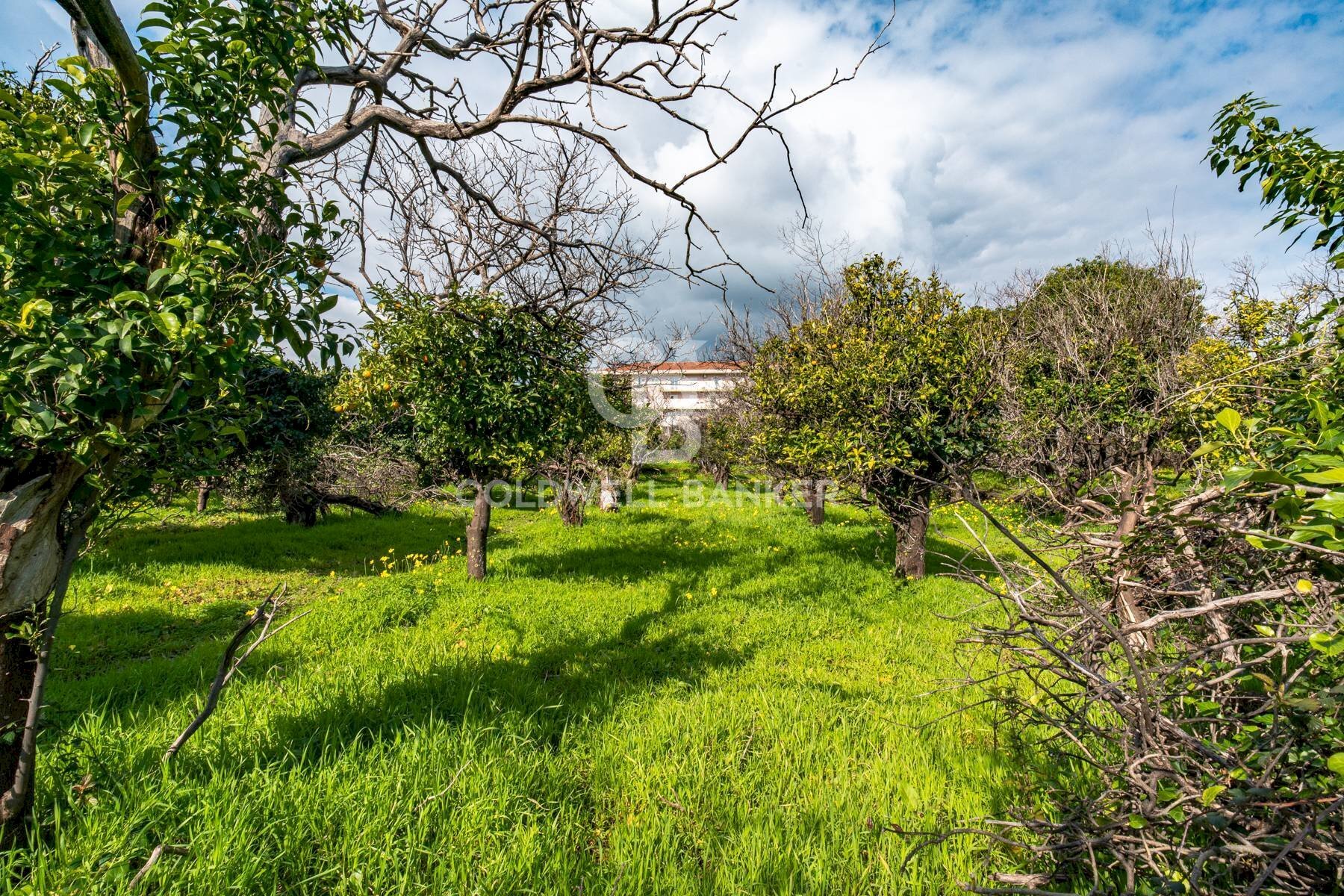 Foto 1 - Agricultural land VIA DELLO STADIO
 
SNC, Acireale - photo 1