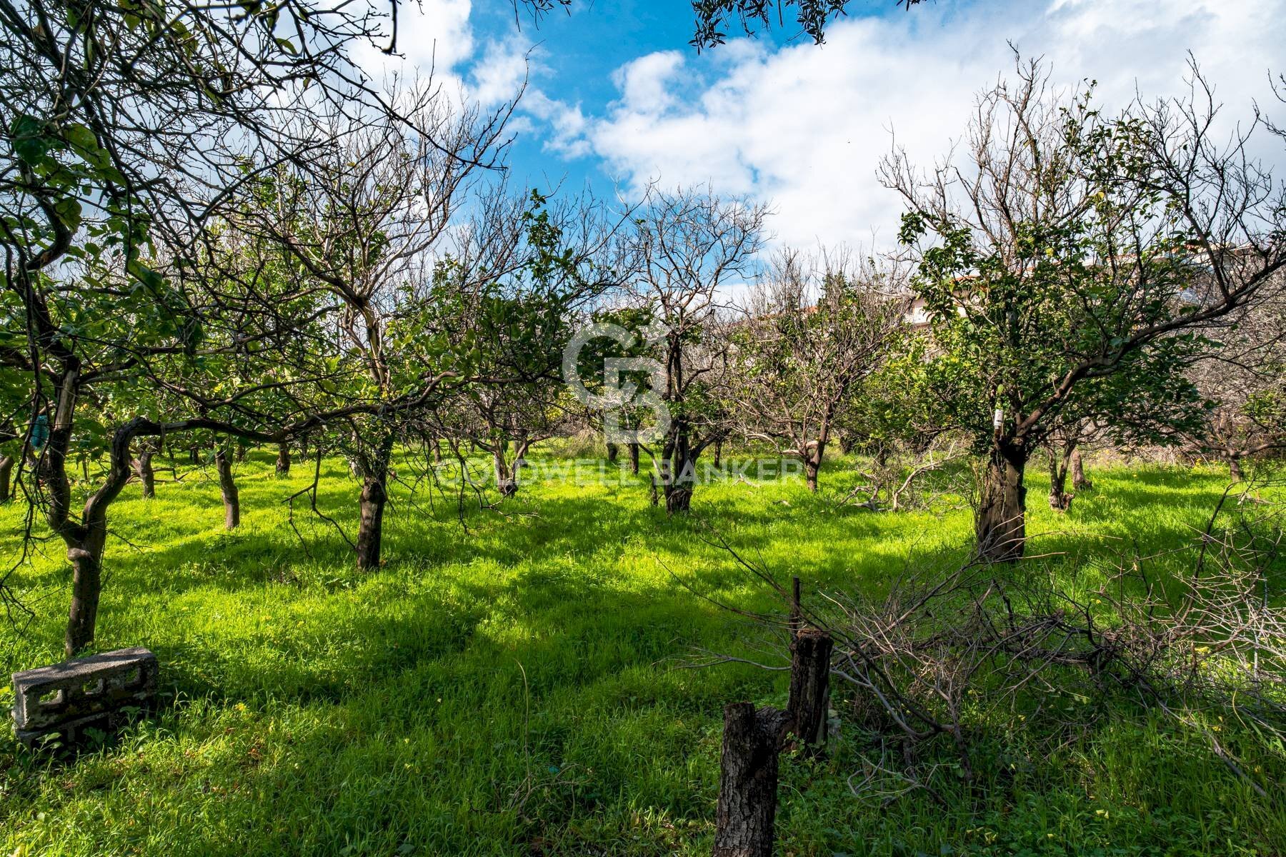 Foto 2 - Agricultural land VIA DELLO STADIO
 
SNC, Acireale - photo 2