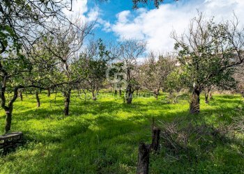 Foto 2 - Terreno agricolo VIA DELLO STADIO
SNC, Acireale - foto 2