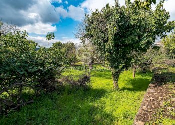 Foto 3 - Terreno agricolo VIA DELLO STADIO
SNC, Acireale - foto 3