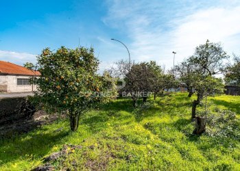 Foto 4 - Terreno agricolo VIA DELLO STADIO
SNC, Acireale - foto 4