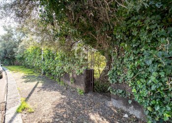 Foto 6 - Terreno agricolo VIA DELLO STADIO
SNC, Acireale - foto 6