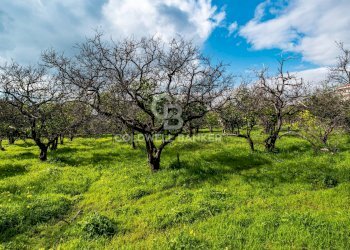 Foto 7 - Terreno agricolo VIA DELLO STADIO
SNC, Acireale - foto 7