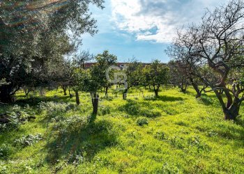 Foto 9 - Terreno agricolo VIA DELLO STADIO
SNC, Acireale - foto 9