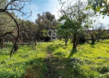 Foto 13 - Terreno agricolo VIA DELLO STADIO
SNC, Acireale - foto 13