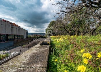 Foto 16 - Terreno agricolo VIA DELLO STADIO
SNC, Acireale - foto 16