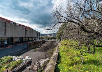 Foto 17 - Terreno agricolo VIA DELLO STADIO
SNC, Acireale - foto 17