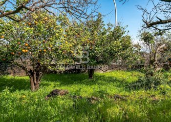 Foto 20 - Terreno agricolo VIA DELLO STADIO
SNC, Acireale - foto 20