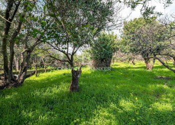 Foto 21 - Terreno agricolo VIA DELLO STADIO
SNC, Acireale - foto 21