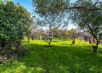 Foto 23 - Terreno agricolo VIA DELLO STADIO
SNC, Acireale - foto 23