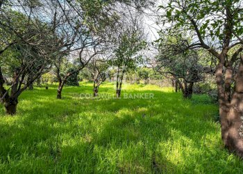 Foto 25 - Terreno agricolo VIA DELLO STADIO
SNC, Acireale - foto 25