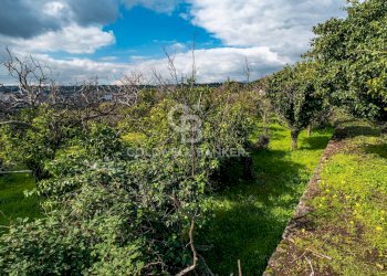 Foto 26 - Terreno agricolo VIA DELLO STADIO
SNC, Acireale - foto 26