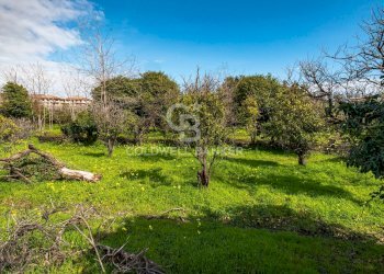 Foto 27 - Terreno agricolo VIA DELLO STADIO
SNC, Acireale - foto 27