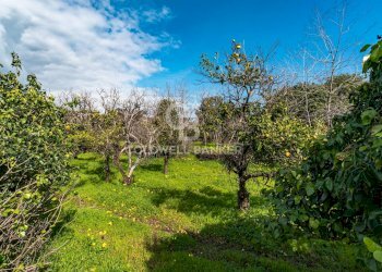 Foto 29 - Terreno agricolo VIA DELLO STADIO
SNC, Acireale - foto 29