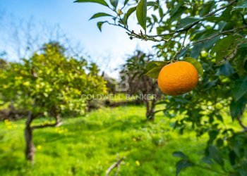 Foto 30 - Terreno agricolo VIA DELLO STADIO
SNC, Acireale - foto 30