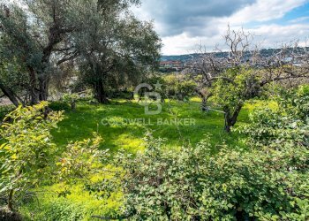 Foto 32 - Terreno agricolo VIA DELLO STADIO
SNC, Acireale - foto 32