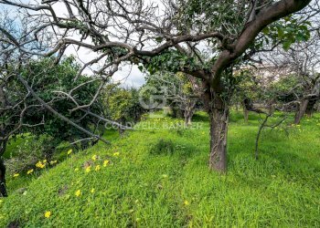 Foto 33 - Terreno agricolo VIA DELLO STADIO
SNC, Acireale - foto 33