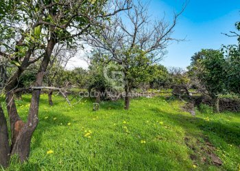 Foto 34 - Terreno agricolo VIA DELLO STADIO
SNC, Acireale - foto 34