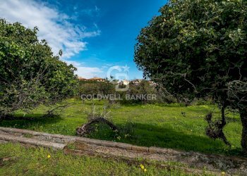 Foto 37 - Terreno agricolo VIA DELLO STADIO
SNC, Acireale - foto 37