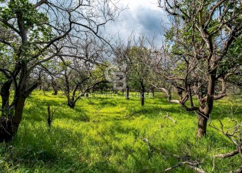 Foto 41 - Terreno agricolo VIA DELLO STADIO
SNC, Acireale - foto 41