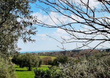 vista - Rustico Porto Sant'Elpidio - foto 27