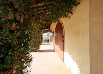 Foto 36 - Rustico Porto Sant'Elpidio - foto 36