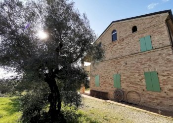 Foto 39 - Rustico Porto Sant'Elpidio - foto 39