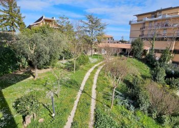 giardino - Appartamento Montegranaro - foto 9