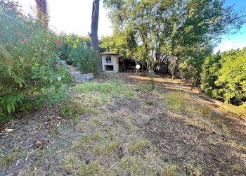 giardino - Villa Civitanova Marche - foto 4