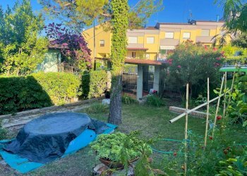 giardino - Villa Civitanova Marche - foto 11