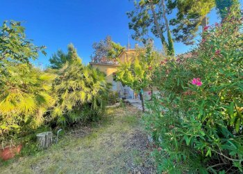 giardino - Villa Civitanova Marche - foto 12