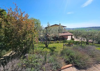 giardino - Villa Fermo - foto 20