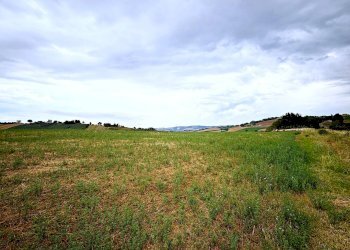 Foto 1 - Terreno agricolo contrada montefiore, Recanati - foto 1