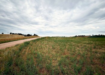 Foto 2 - Terreno agricolo contrada montefiore, Recanati - foto 2