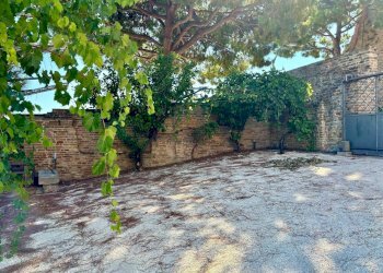 Foto 39 - Villa Cupra Marittima - foto 39