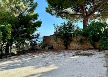 Foto 40 - Villa Cupra Marittima - foto 40