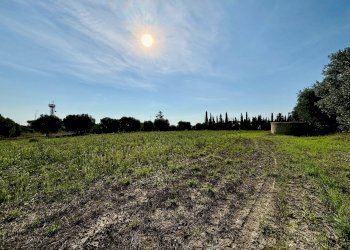 Foto 3 - Terreno agricolo Grottammare - foto 3