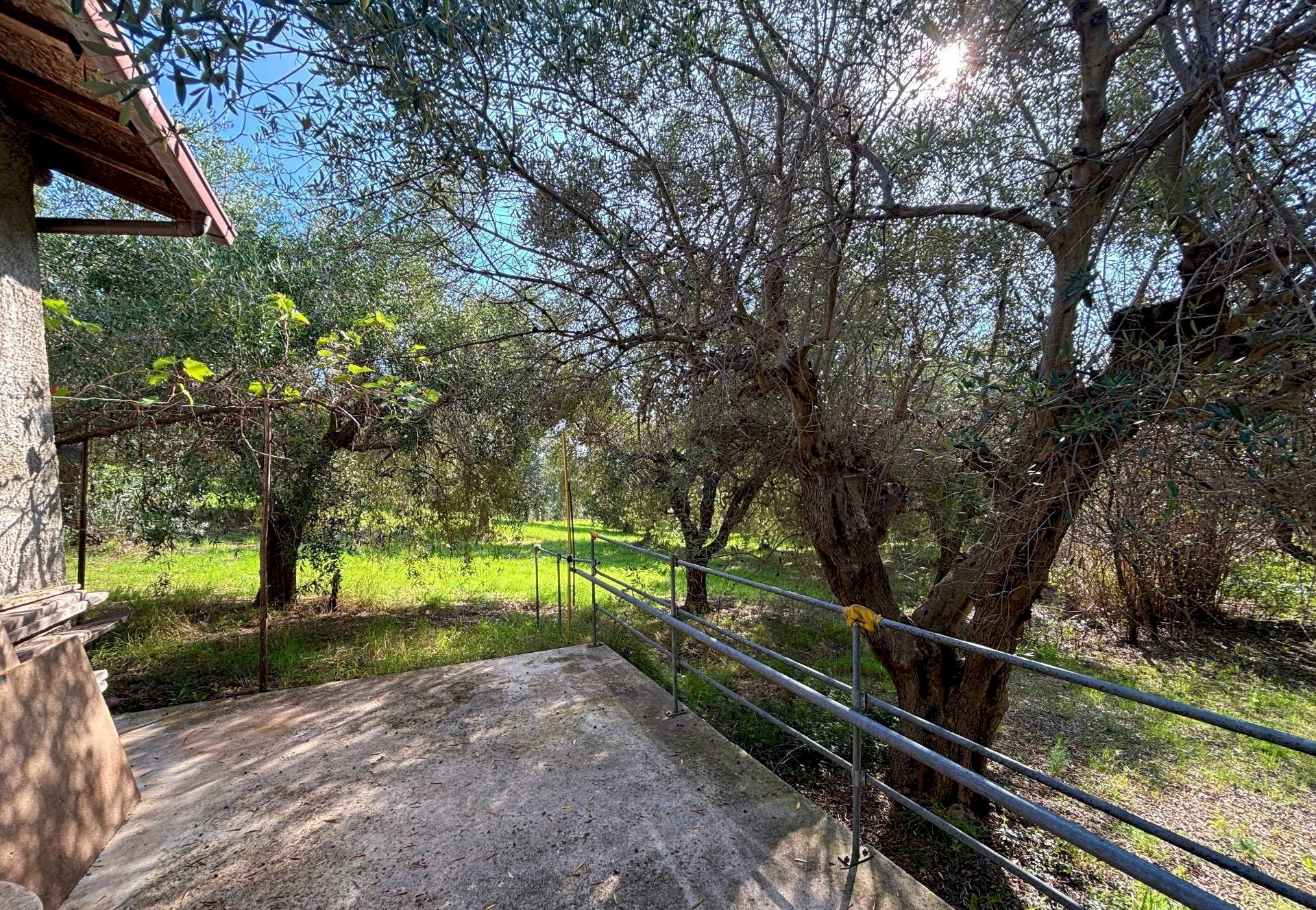 Foto 2 - Terreno agricolo cuprense, Grottammare - foto 2